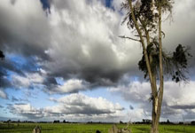 [天下足球]雷纳破门 多特蒙德战平霍芬海姆.