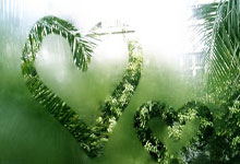 涨得比黄金还快!中国有2.5亿参与者,新品太贵,有二手店销量超过5万件.